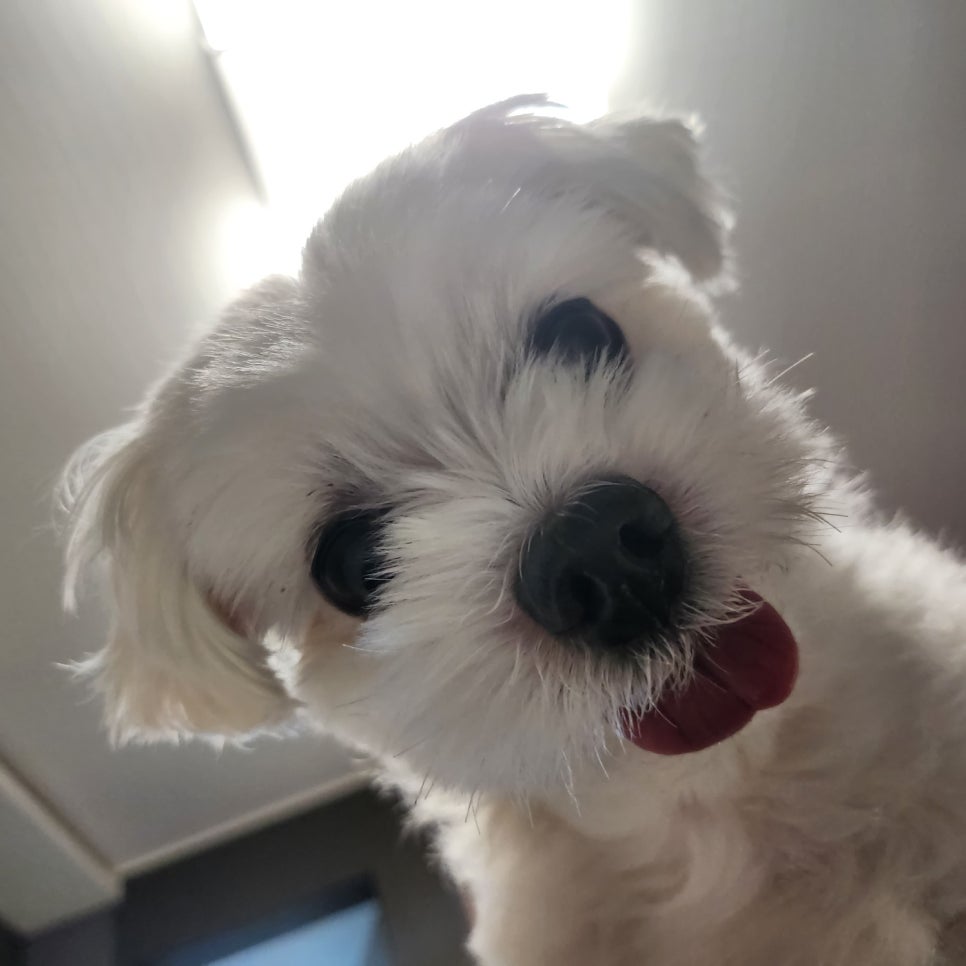 ㅌㅅㅌ