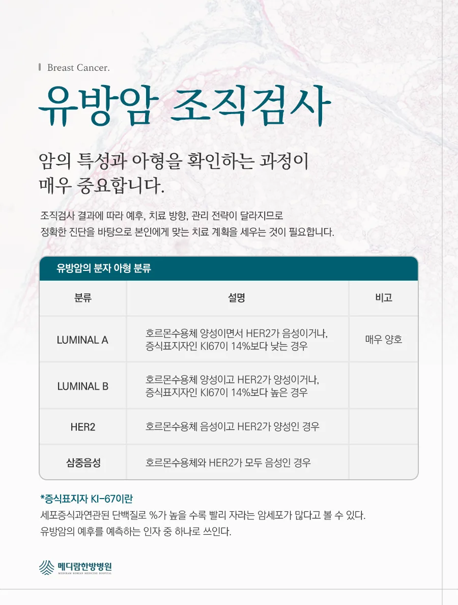 유방암 조직검사 분자 아형(Luminal A/B, HER2, 삼중음성)을 정리한 자료