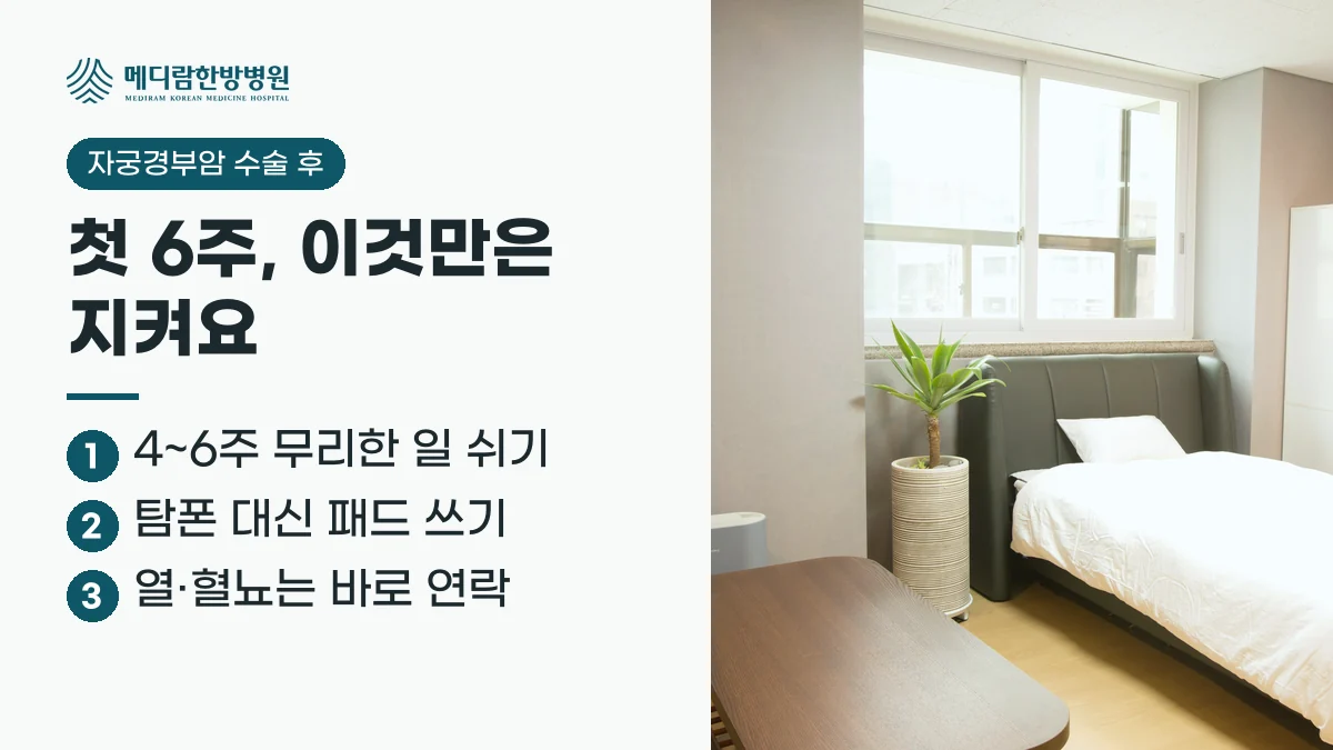 자궁경부암 수술 후 첫 6주 요약: 4~6주 무리한 일을 쉬고, 탐폰 대신 패드를 쓰며, 열이나 혈뇨가 있으면 바로 연락한다는 정리 이미지