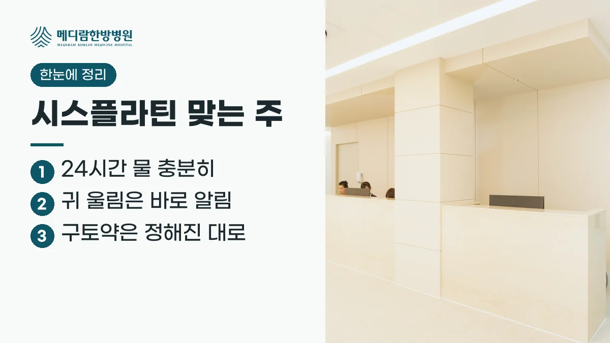 시스플라틴 맞는 주 요약: 24시간 물을 충분히 마시고, 귀 울림은 바로 알리며, 구토약은 정해진 시간대로 먹는다는 정리 이미지