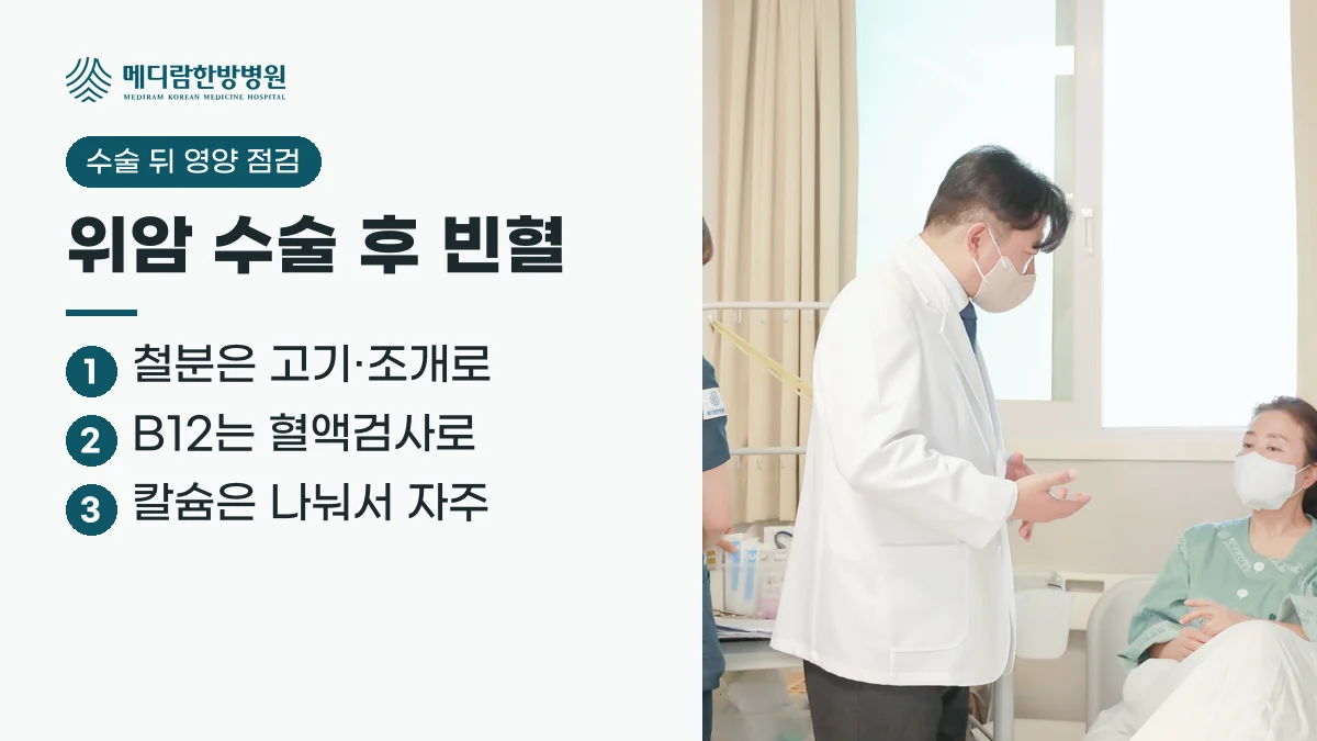 위암 수술 후 빈혈 관리 요약: 철분은 고기와 조개로, 비타민 B12는 혈액검사로 확인, 칼슘은 나눠서 자주