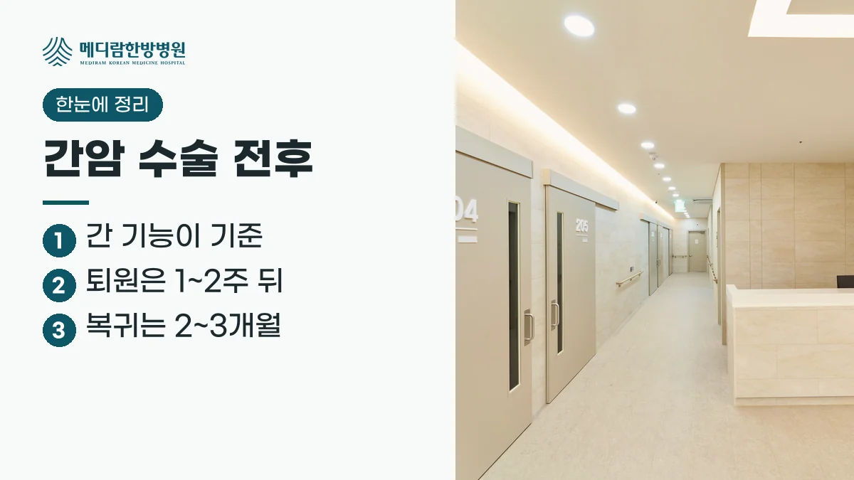 간암 수술에서 간 기능이 기준이며 퇴원은 1~2주 뒤, 직장 복귀는 2~3개월 뒤라는 요약 이미지