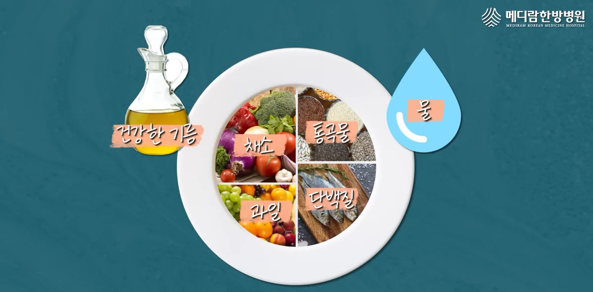 메디람 유튜브 영상 화면, 채소·과일·통곡물·단백질과 건강한 기름, 물로 한 접시를 구성하는 방법을 그린 그림