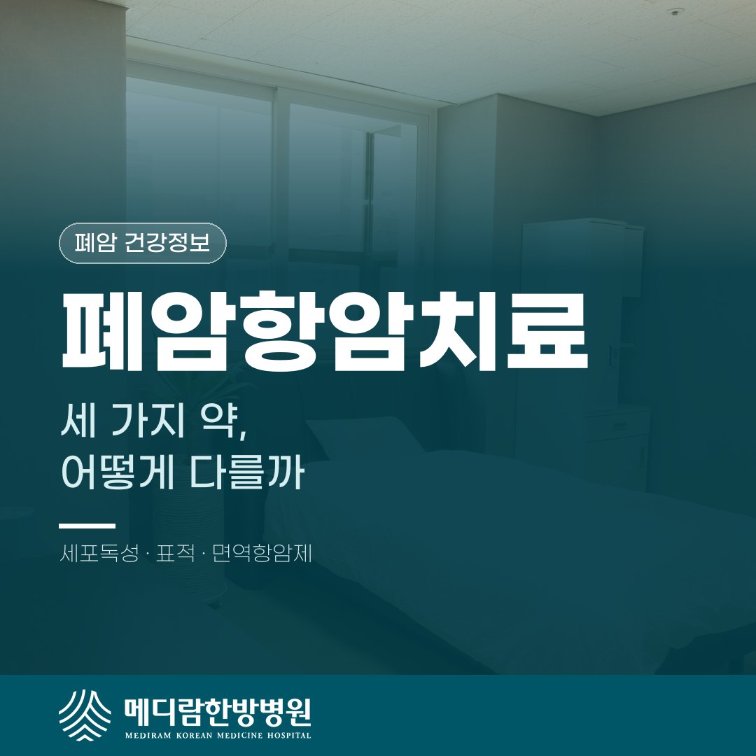 폐암항암치료, 세포독성·표적·면역항암제는 어떻게 다를까 대표 이미지