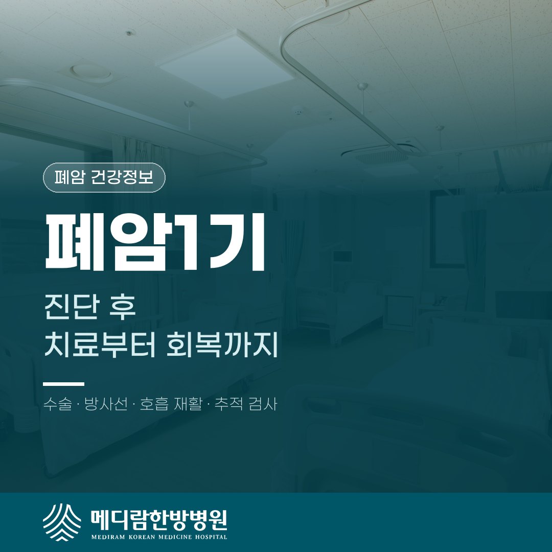 폐암1기 진단 후 치료부터 회복까지 한눈에 보기 대표 이미지