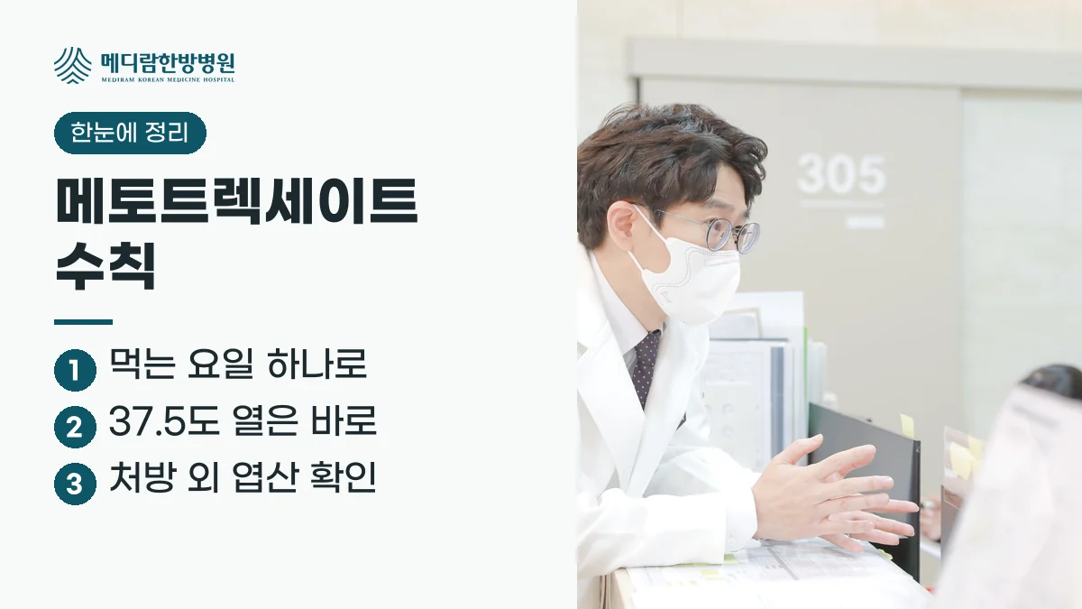 메토트렉세이트 복용 요약: 먹는 요일을 하나로 정하고, 37.5도 이상 열은 바로 알리며, 처방 외 엽산은 먼저 묻는다는 정리 이미지